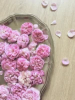 الورد الدمشقي