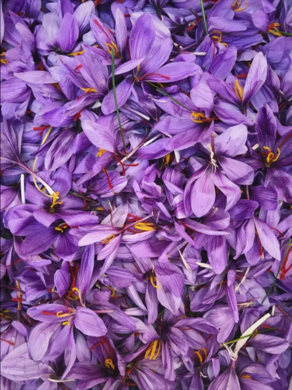 Saffron