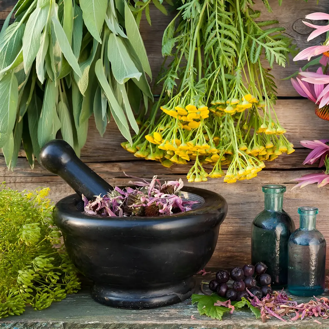 Iran’s Medicinal Plants